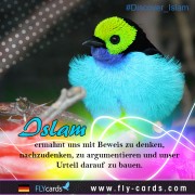 "Grundprinzipien des Islam: Eine kurze Übersicht"