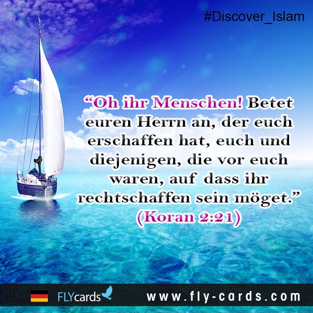 Ansprüche über die Kreationen