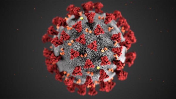 Wisdom behind Coronavirus