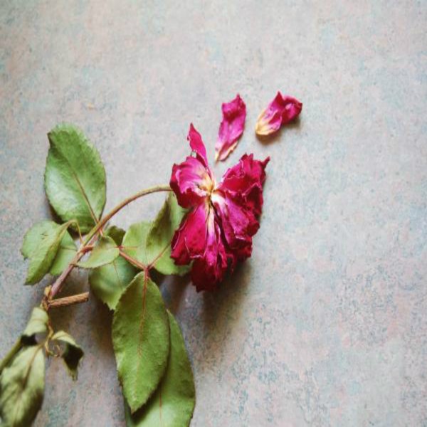 The Nature of this World