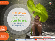 Pull down the sheets of pride that cover your heart