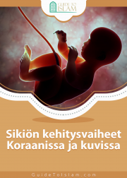 Sikiön kehitysvaiheet Koraanissa ja kuvissa