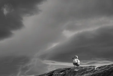 मरियम का पुत्र यीशु (5 का भाग 4): क्या वास्तव में यीशु की मृत्यु हुई थी?