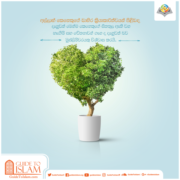 අල්ලාහ්ගේ ඥානය