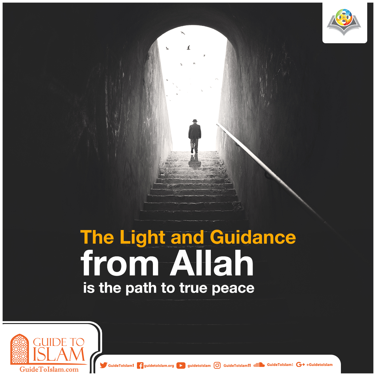 The Light and Guidance from Allah