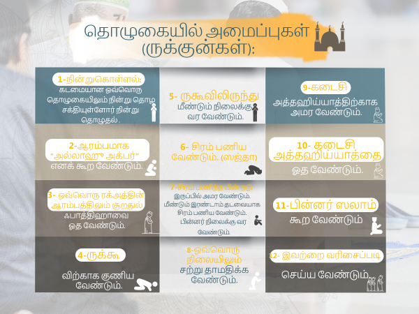 தொழுகையின் அமைப்புகள் (ருக்குன்கள்)