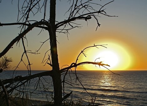 Sơ Lược Về Ân Phúc Các Vị Sahabah của Nabi