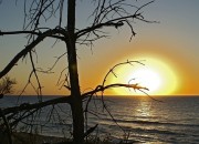 Sơ Lược Về Ân Phúc Các Vị Sahabah của Nabi