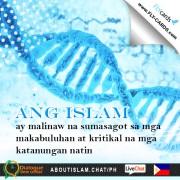 Ano ang nagagawa ng Islam?