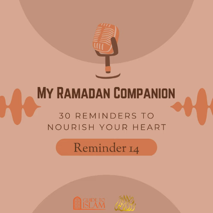 Day 14: Zakah & Charity