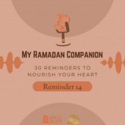 Day 14: Zakah & Charity