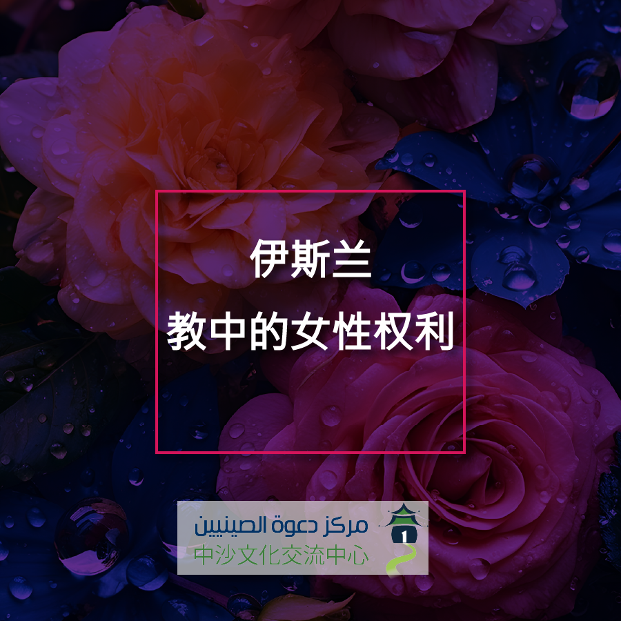 伊斯兰教中的女性权利