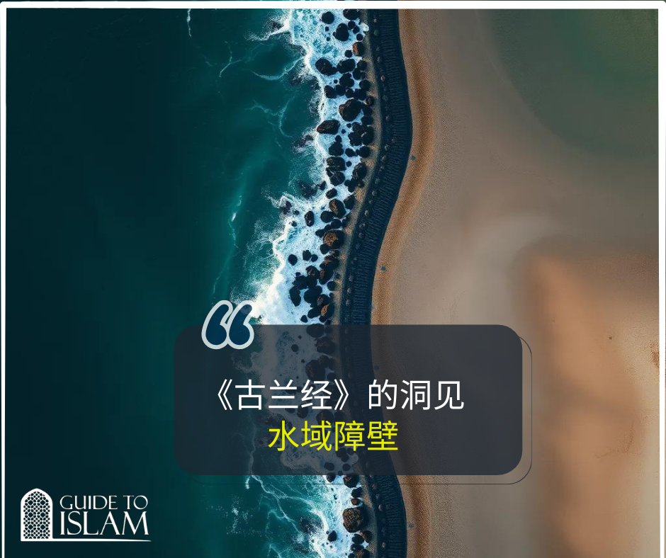 《古兰经》的洞见