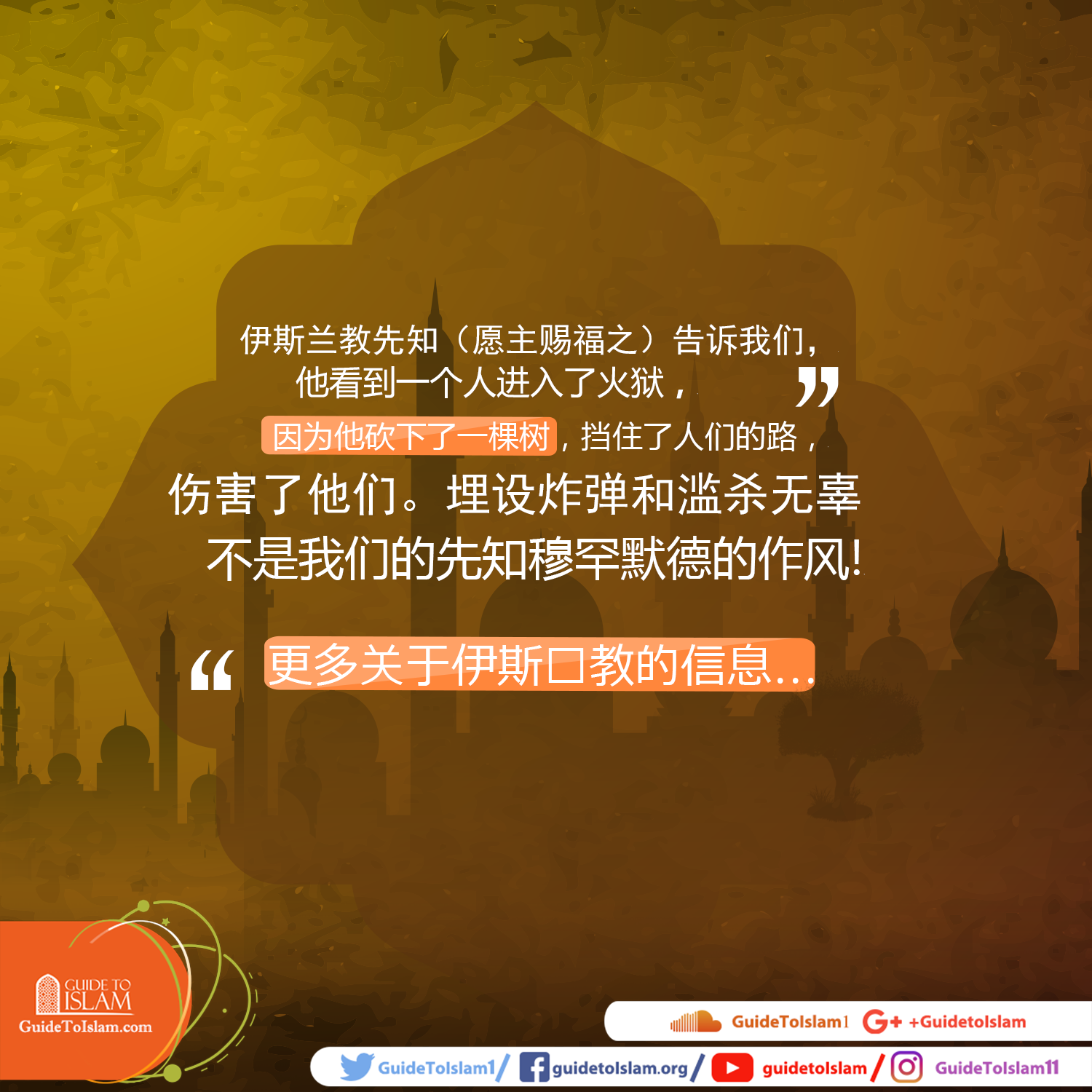 我们的先知穆罕默德（愿主赐福之）严厉禁止恐怖事件，滥杀无辜。