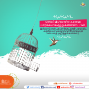 இஸ்லாம் மதம் என்பதையும் தாண்டிய மார்க்கம்