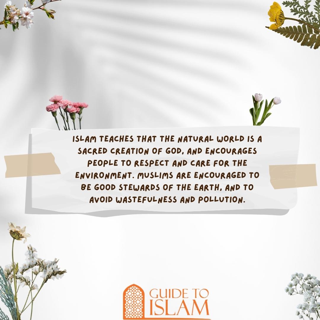 Islam teaches that the natural world is a sacred creation of God