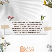Islam teaches that the natural world is a sacred creation of God