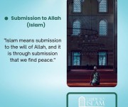 Submission to Allah (Islam)