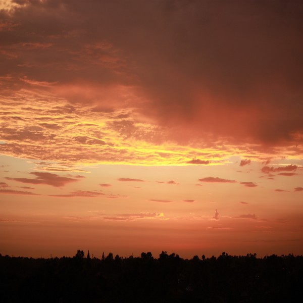 Das erste Zeugnis war das von Heraklius