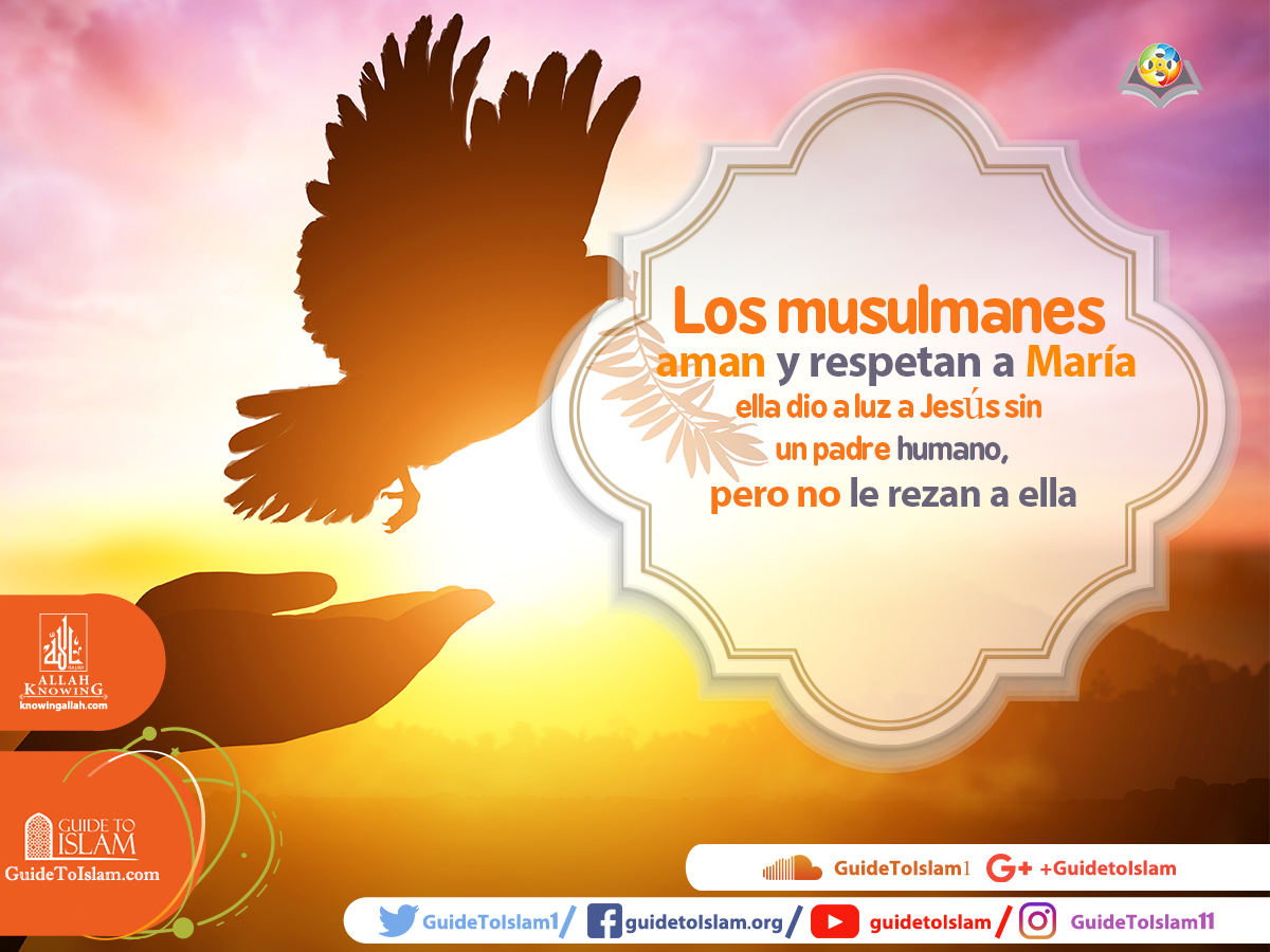 Los musulmanes aman y respetan a María
