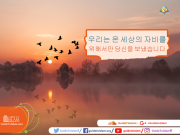 우리는 온 세상의 자비를 위해서만 당신을 보냈습니다