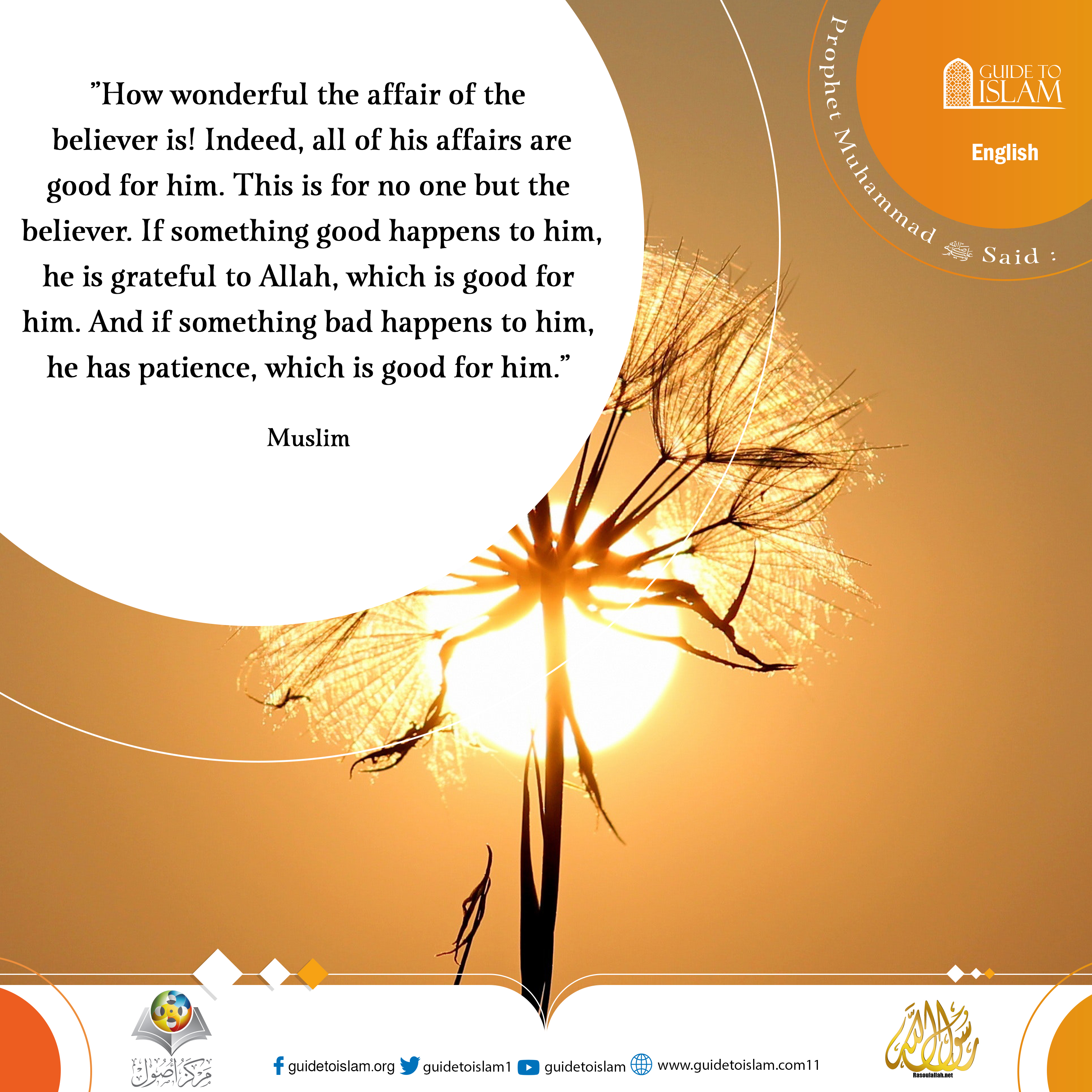 How wonderful the affair of the believer is!