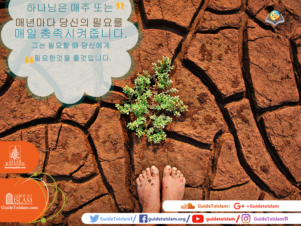 하나님은 매주 또는 매년이 아니라 매일 당신의 필요를 채워줍니다.