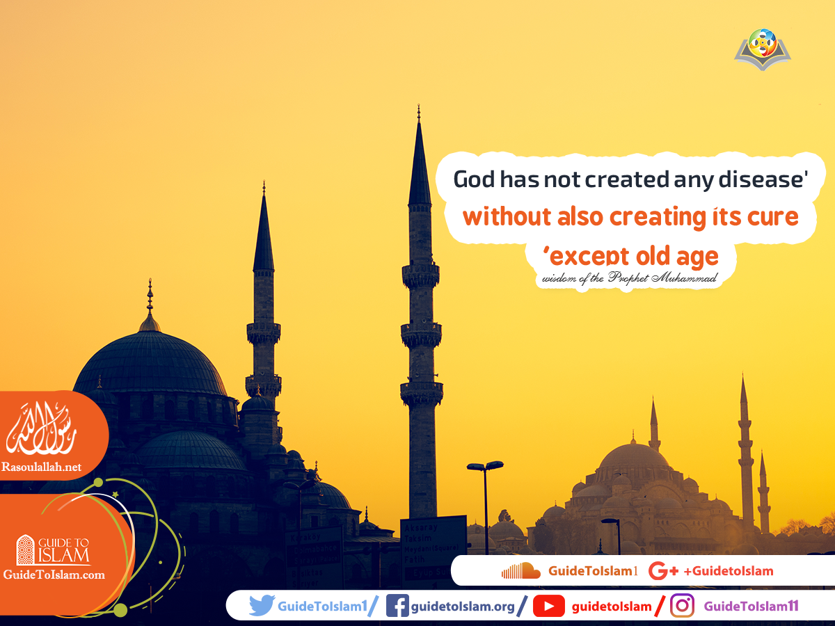 wisdom of the Prophet Muhammad