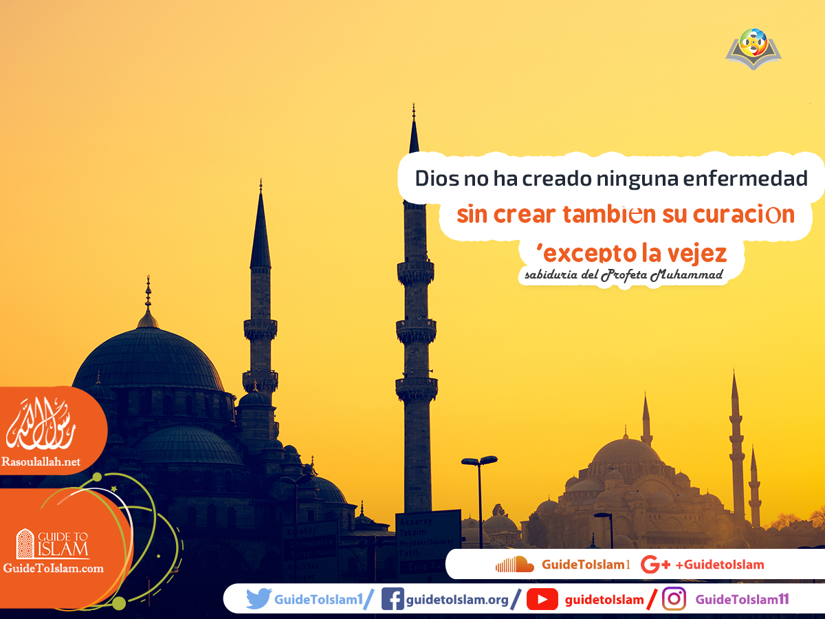 sabiduría del Profeta Muhammad