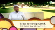 Belajar dari Burung HudHud