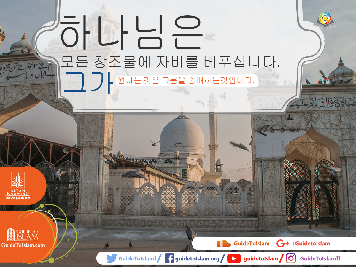 하나님은 모든 창조물에 자비를 베푸셨습니다.