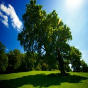 现代历史方法论与圣训方法论之比较（3/5）：圣训方法论