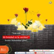 La importancia de la bondad