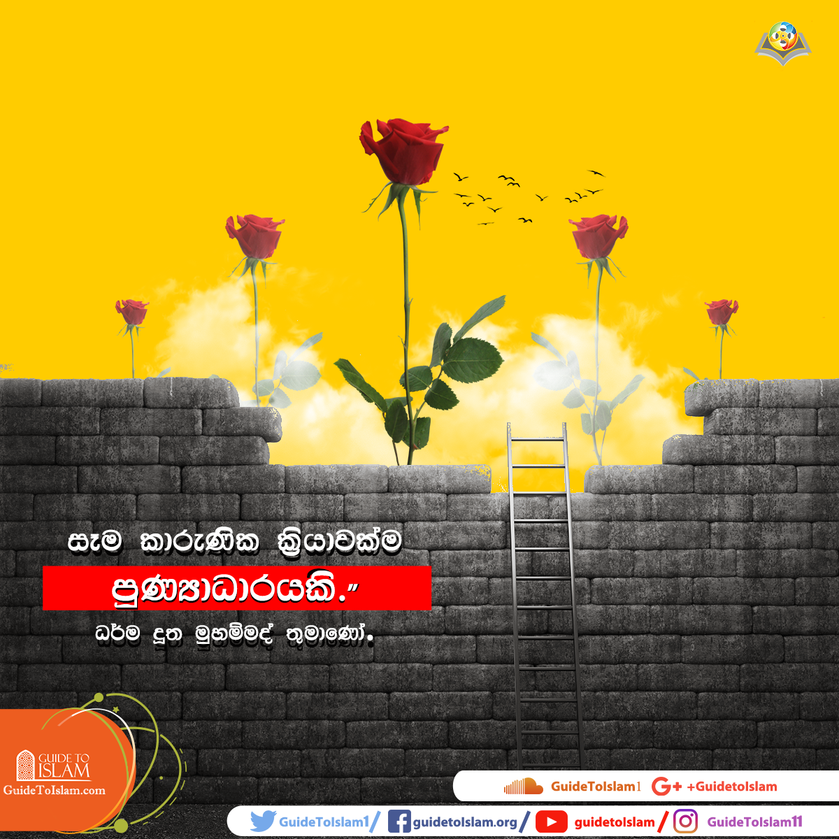 සෑම කාරුණික ක්රියයාවක්ම පුණ්යිකර්මයකි