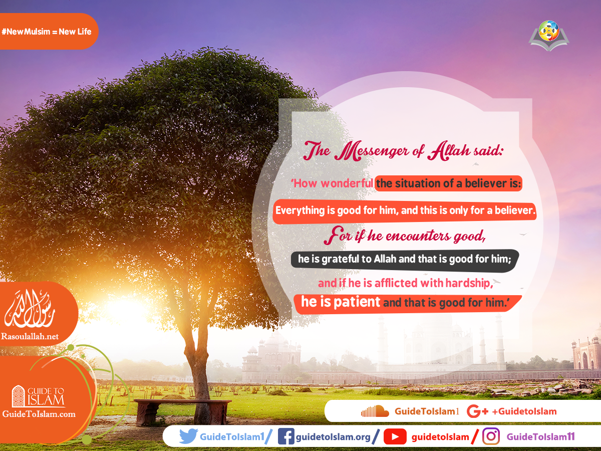 The Messenger of Allah said