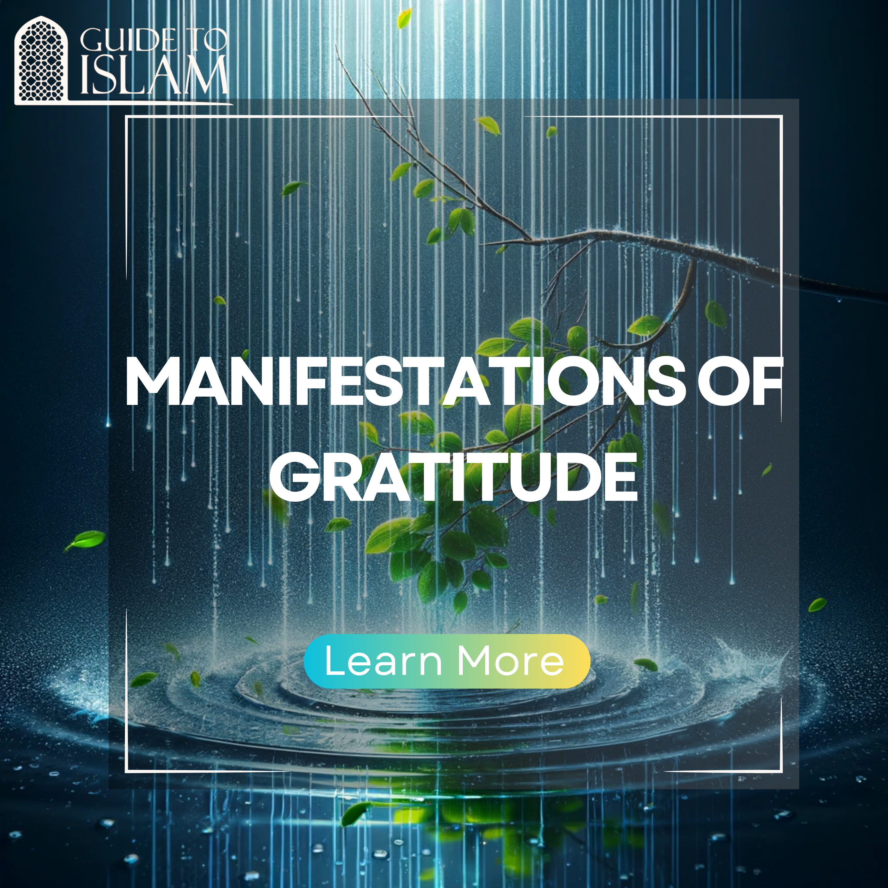 Manifestations of Gratitude