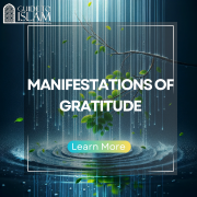 Manifestations of Gratitude