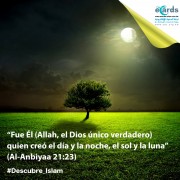 La Predestinación Divina