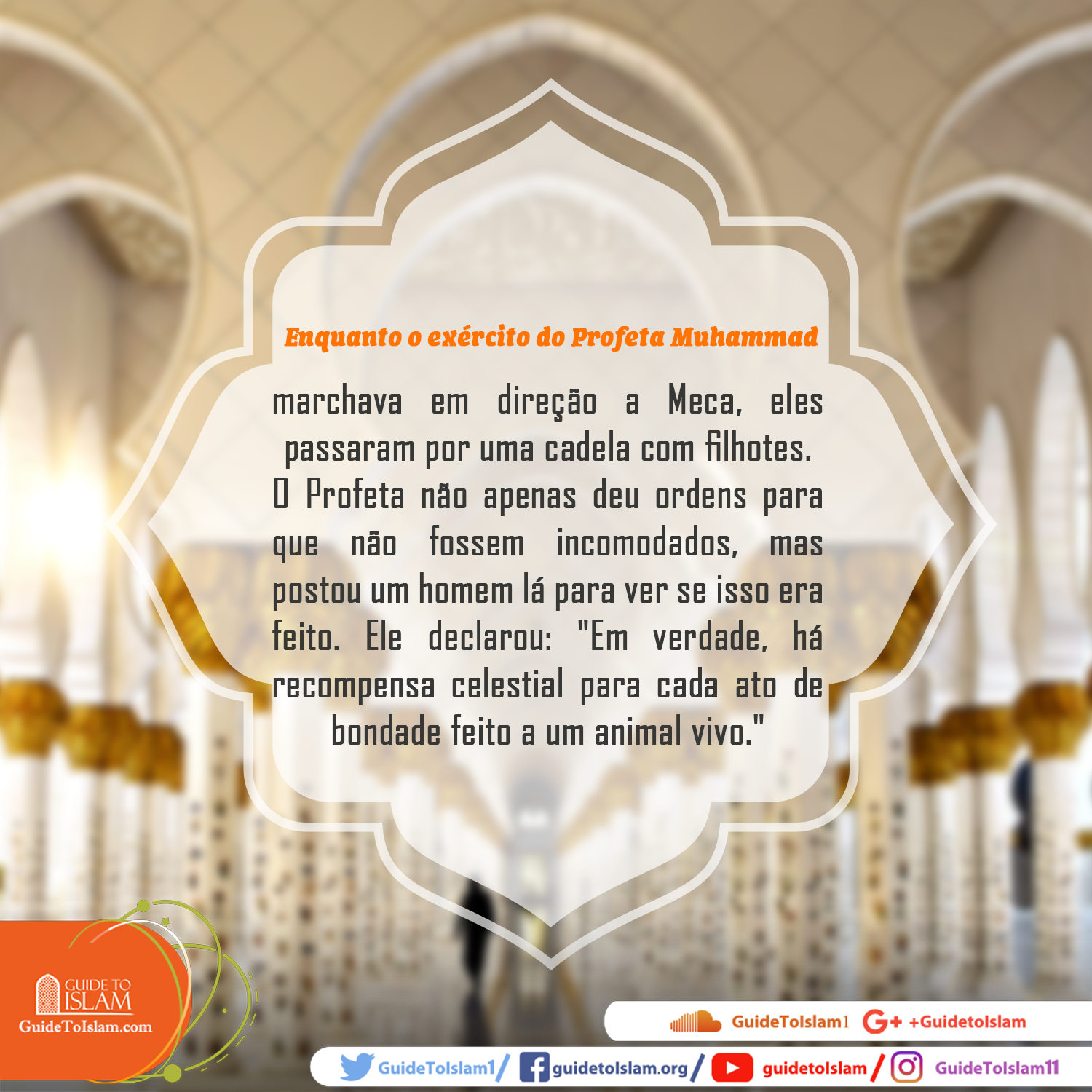 Na verdade, há uma recompensa celestial para cada ato de bondade feito a um animal vivo