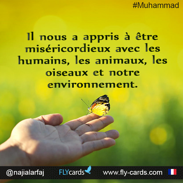 Il Nous A Appris À Être Miséricordieux Avec Les Humains, Les Animaux, Les Oiseaux Et Notre Environnement.
