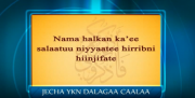 nama halkan salaatuu niyyatee hirriibni irra injifate