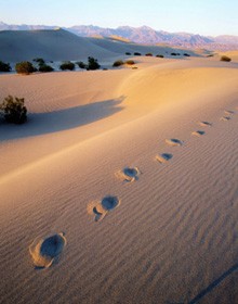 L’histoire de Moïse (partie 8 de 12) : Signes du formidable pouvoir de Dieu