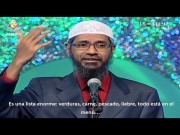 Concepto erróneo - 8 "¿Por qué el Islam permite el consumo de carne?"