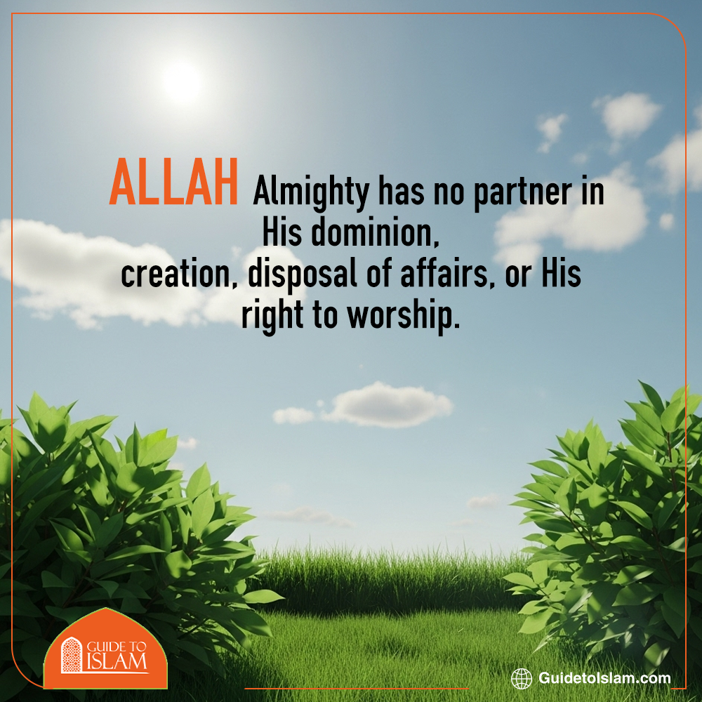 Allah Has No Partner in Any Matter