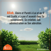 Allah N'a Aucun Partenaire en Rien
