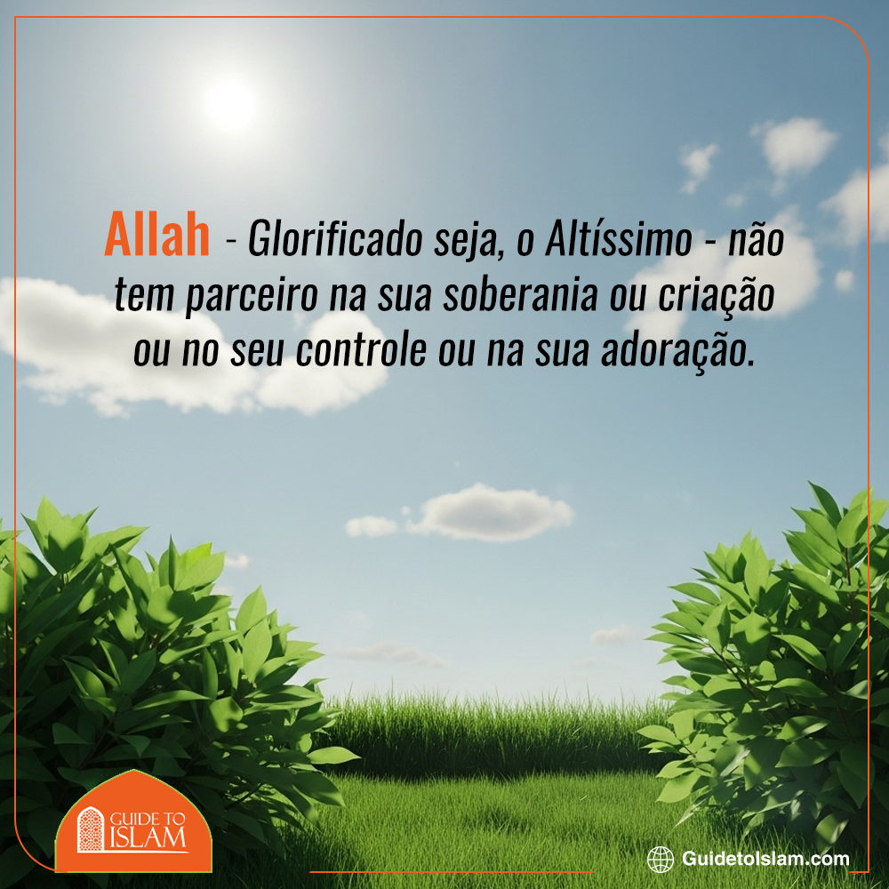 Allah Não Tem Nenhum Parceiro em Nada