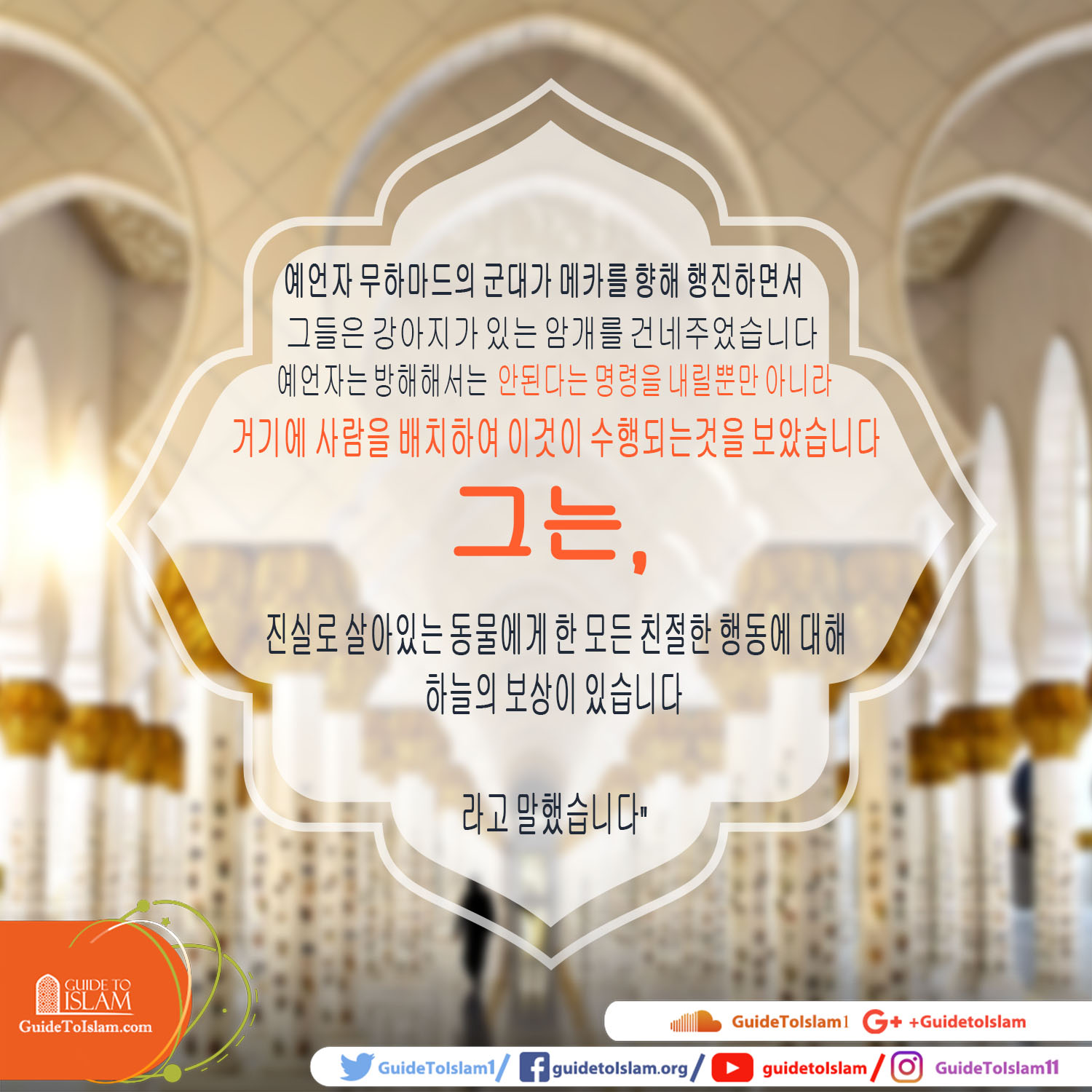 진실로 살아있는 동물에게 한 친절한 모든 행동에 대한 훌륭한 보상이 있습니다.