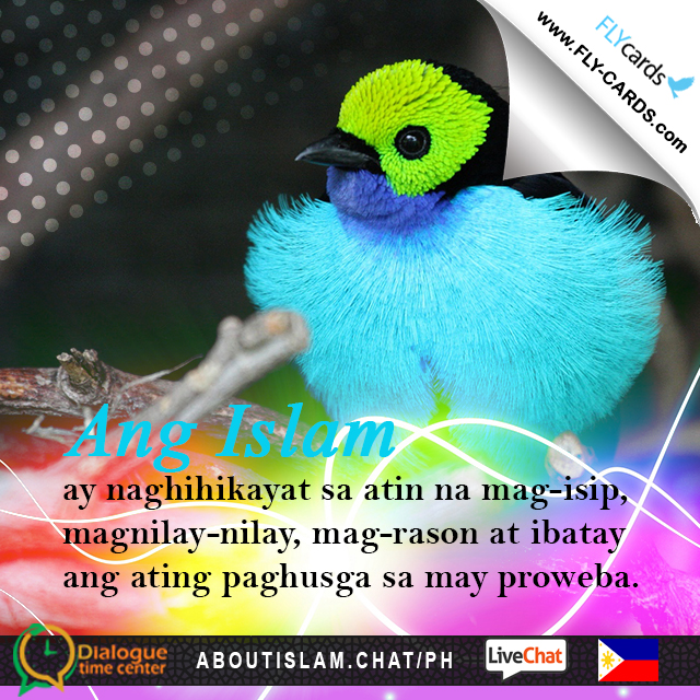 Mga Katuruan ng Islam