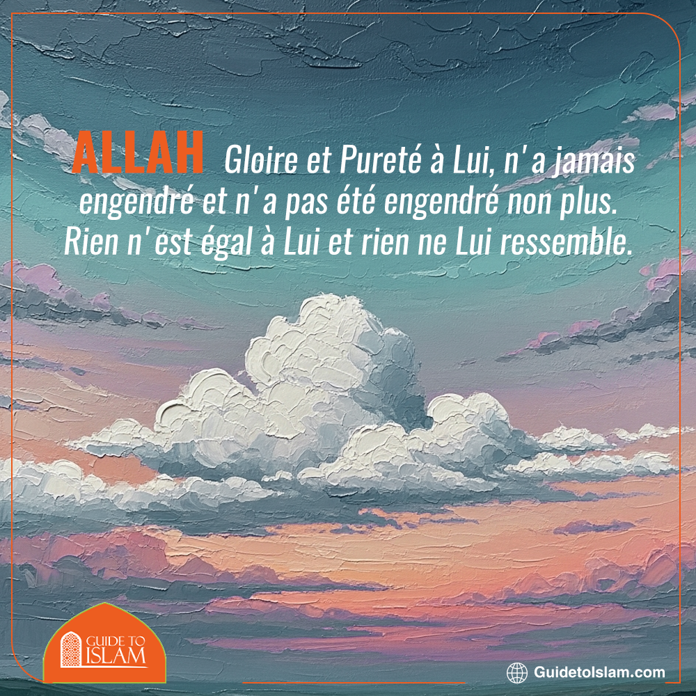 Il N'a Pas d'Enfant, Et Il N'Est Pas Engendré