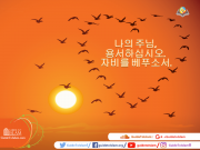 나의 주님, 용서하십시오. 자비를 베푸소서.